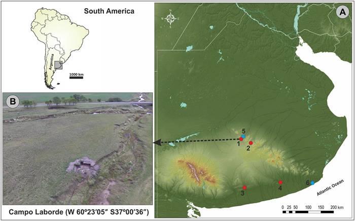 阿根廷彭巴草原发现的巨型地懒化石提供人类与更新世末期巨型动物灭绝有关的证据
