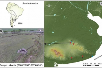 阿根廷彭巴草原发现的巨型地懒化石提供人类与更新世末期巨型动物灭绝有关的证据