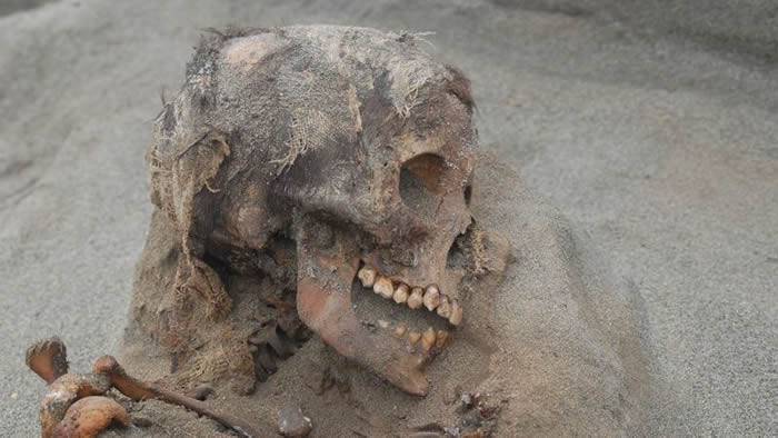 美洲最大儿童献祭遗址：秘鲁发现古代奇穆王国大规模献祭遗址 包括137具儿童骸骨