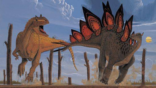 剑龙类恐龙是什么样的