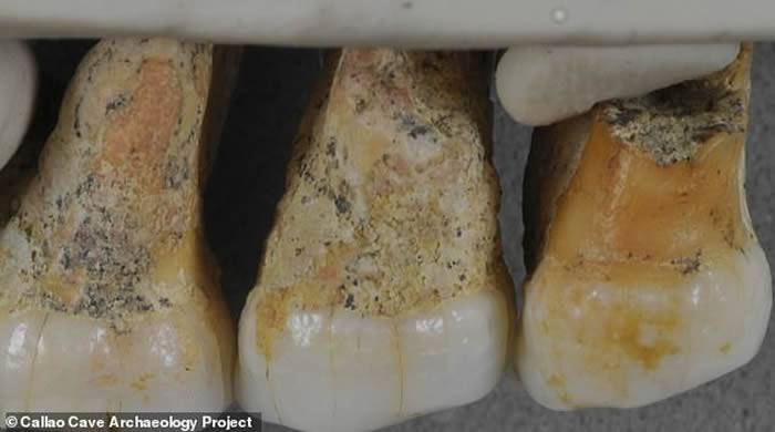 菲律宾吕宋岛卡劳洞穴发现数万年前全新人种“吕宋人”（Homo luzonensis）化石