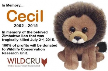 美国玩具制造商Ty Inc.设计“塞西尔狮子”的豆豆娃娃抚平人们伤感心灵