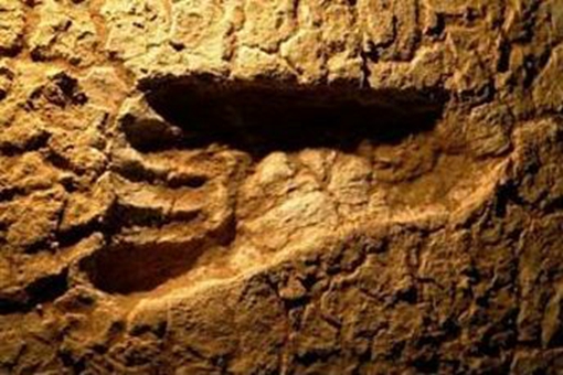 人类拍下了5500万年前的黑洞影相,那么5500万年前的人类又是怎样的呢?