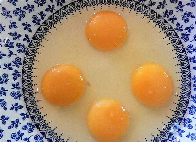 英国巨型鸡蛋打出4个蛋黄 概率仅为110亿分之一