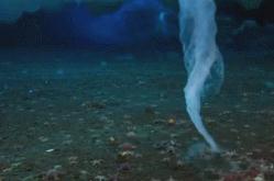 南极死亡冰柱是海底的死神，遇神杀神(比3d特效视频更炫目)