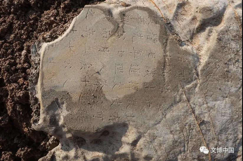 扬州三星叶桥地块考古发掘收获
