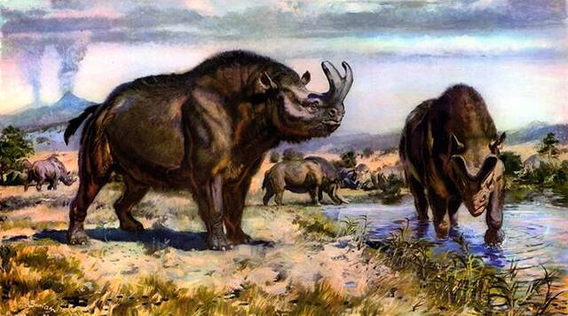 宁夏灵武首次发现古近纪始新世大型哺乳动物雷兽化石
