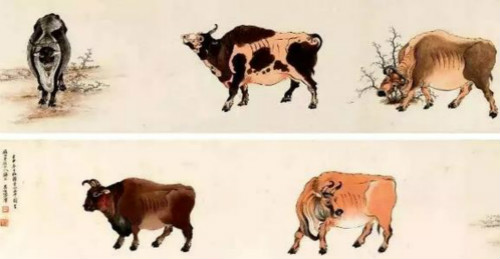 中国家养黄牛的起源