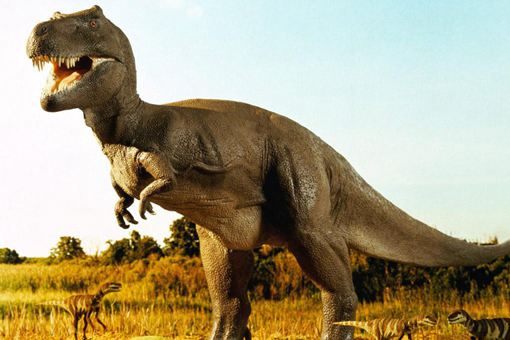 2.2亿年前恐龙墓是什么?恐龙的死因究竟是什么?