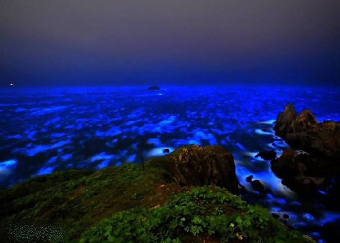 夜光虫？台湾马祖列岛海边出现“蓝眼泪”奇景 与天上银河相辉映