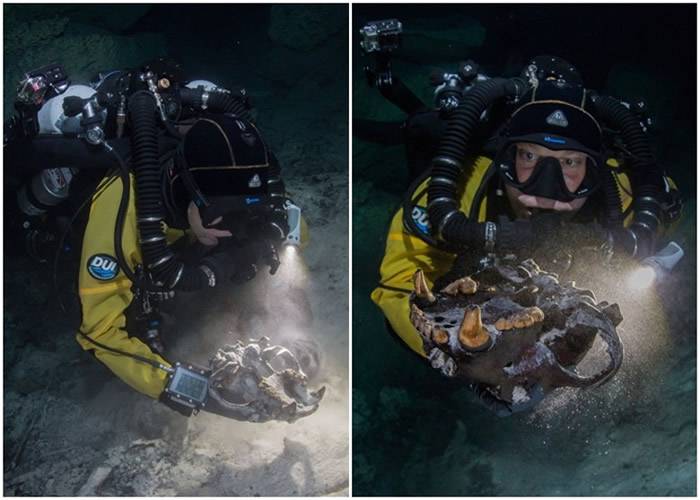 墨西哥犹加顿半岛东岸海底洞穴藏珍奇生物化石 助了解中美州生态历史