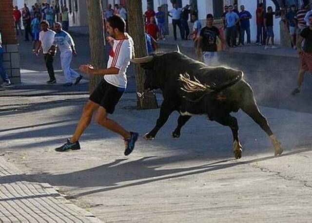 西班牙男子只顾用手机拍摄 惨遭公牛从后撞死