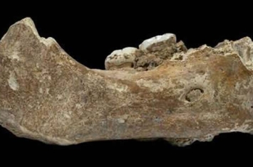甘肃夏河县“丹尼索瓦人”下颌骨化石将人类踏足青藏高原的时间推进到16万年前