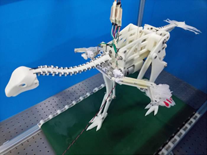 尾羽鸟机器人揭示一些物种可以在没有滑翔阶段的情况下就直接进入扑翼飞行