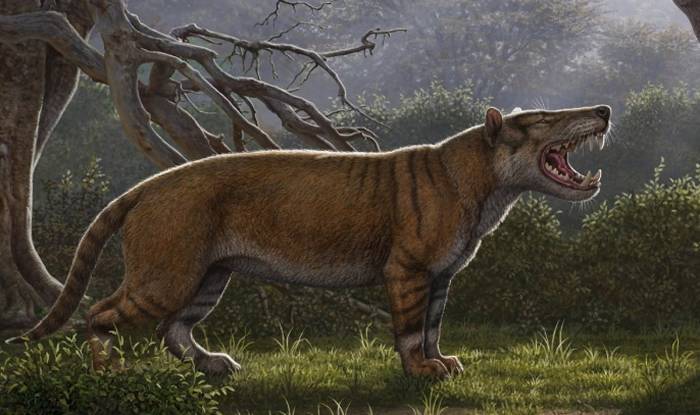 2200万年前拥有多把利刃的掠食猛兽“巨狮鬣兽”Simbakubwa kutokaafrika