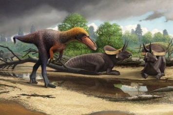 美国新墨西哥州1米高暴龙近亲化石出土 命名为Suskityrannus hazelae