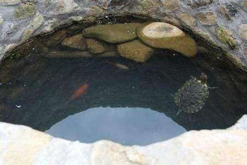 我国古代人打井之后为何要往井底放一公一母两只乌龟呢?这其中有着古人大大的智慧