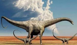 世界上最大的动物，易碎双腔龙体长达到80米(堪比足球场)