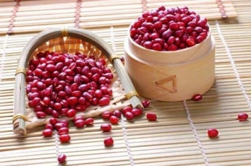 红豆为何会被古人寄托相思之情?红豆为何会被称为相思豆?