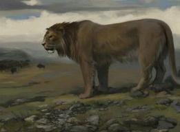 世界上最大的狮子，残暴狮体长为4.5米重800斤(庞然大物)