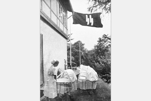 奥斯维辛的护士不全是坏的,这名女护士拯救了上千名产妇