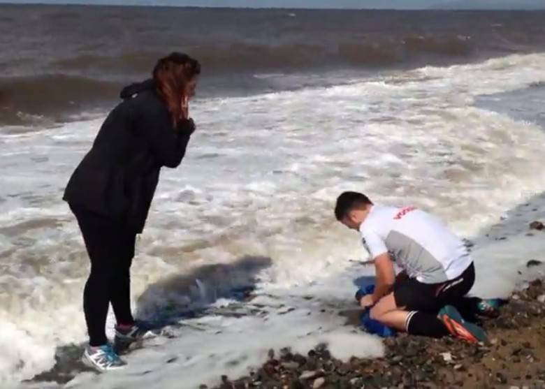 小海豹冲上英国海岸 幸获善心男女拯救