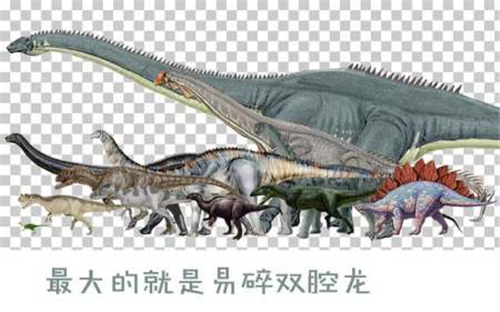 为什么现在的动物都长不到恐龙那么大了