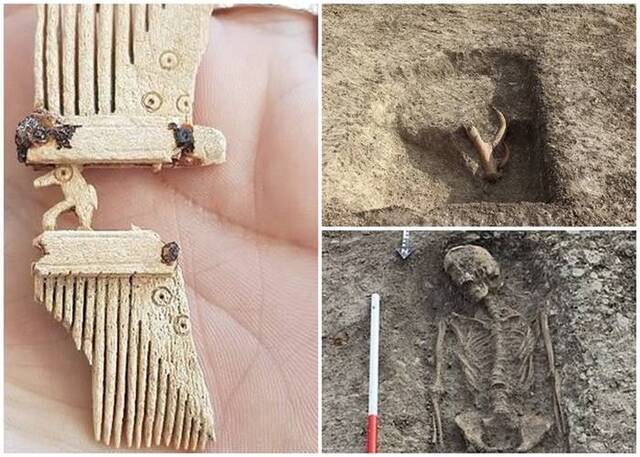 英国牛津郡工人意外挖出26副有3000年历史的人类骸骨 来自铁器时代至罗马时期
