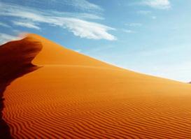 世界上最恐怖沙漠排名，索苏斯弗雷沙漠遍布细菌(一触即残)