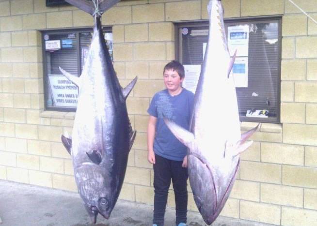 澳洲小兄弟凭己力钓重百公斤吞拿鱼 有望打破世界纪录
