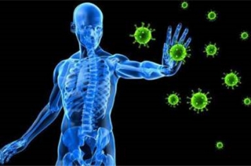 如果激活人体全部的免疫系统会百毒不侵吗