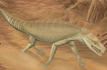 澳大利亚南威尔士发现现代鳄鱼的古老祖先化石