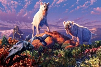 加拿大西北部发现的牙齿化石证实鬣狗曾生活在荒凉而寒冷的北极