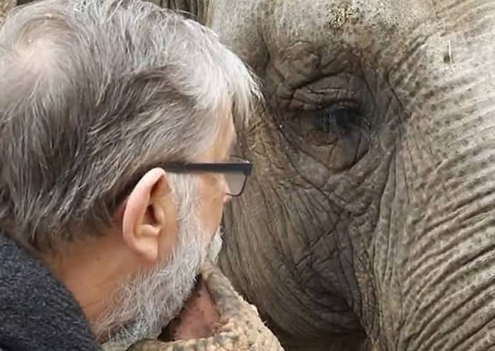 离别32载重逢仍未忘 德国西部萨尔州动物园老象伸鼻拥抱年迈管理员