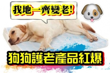 日本宠物犬寿命延长 高龄犬用品极受欢迎