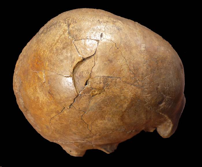 罗马尼亚洞穴中发现的古人类化石揭示3.3万年前的命案