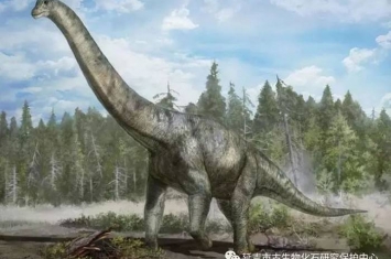 延吉发现的化石被命名为延吉龙、延吉鳄