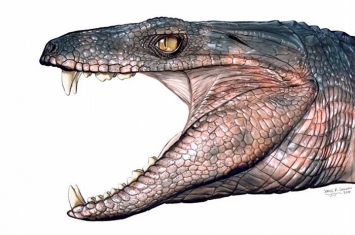 恐龙时代的鳄鱼也吃素