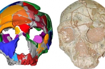 希腊洞穴中发现的人类头骨化石可能是欧洲最古老人类的遗骸