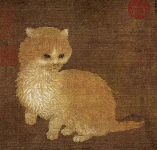宋朝人是如何吸猫的?来看看宋朝画卷里的猫长什么样子