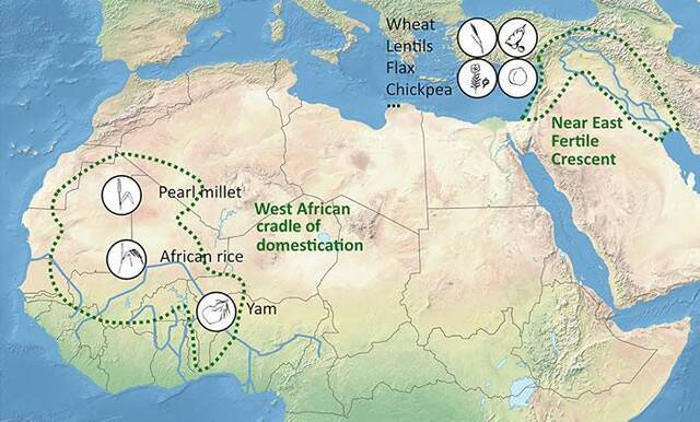国际科学家小组指出人类文明的确切发源地：非洲东北部