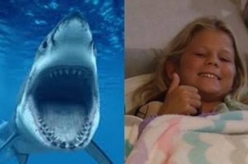 美10岁女孩遭鲨鱼咬伤 仍扑回海中勇救朋友