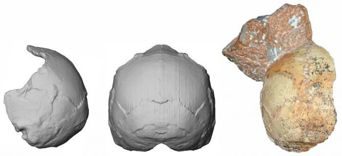 希腊Apidima洞穴发现的智人头骨有21万年历史 非洲以外最古老