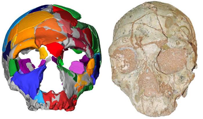 希腊Apidima洞穴发现的智人头骨有21万年历史 非洲以外最古老