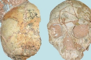 希腊南部洞穴发现21万年前智人颅骨化石 人类迁移欧亚大陆历史大幅推前16万年