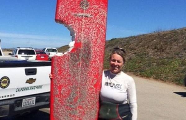 美国女子海边冲浪遭遇大白鲨攻击 冲浪板被咬掉一大块