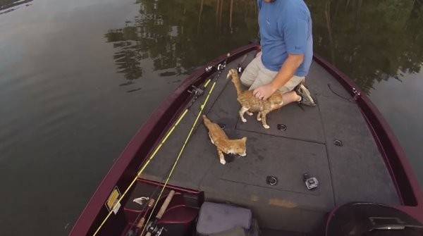 美国男子到河中钓鱼却意外“钓起”2只小虎斑猫