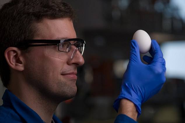 美澳化学家将熟鸡蛋变回生鸡蛋 研助防癌