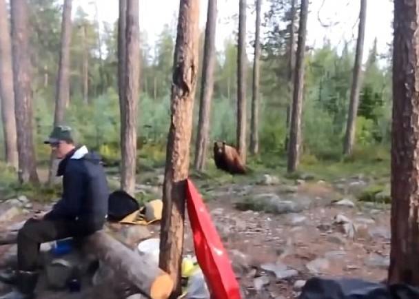 俄罗斯男子郊外露营唱歌成功赶走棕熊