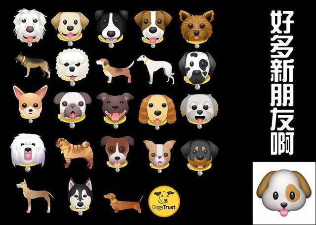 英团体推汪星人emoji 23种真实狗狗为蓝本